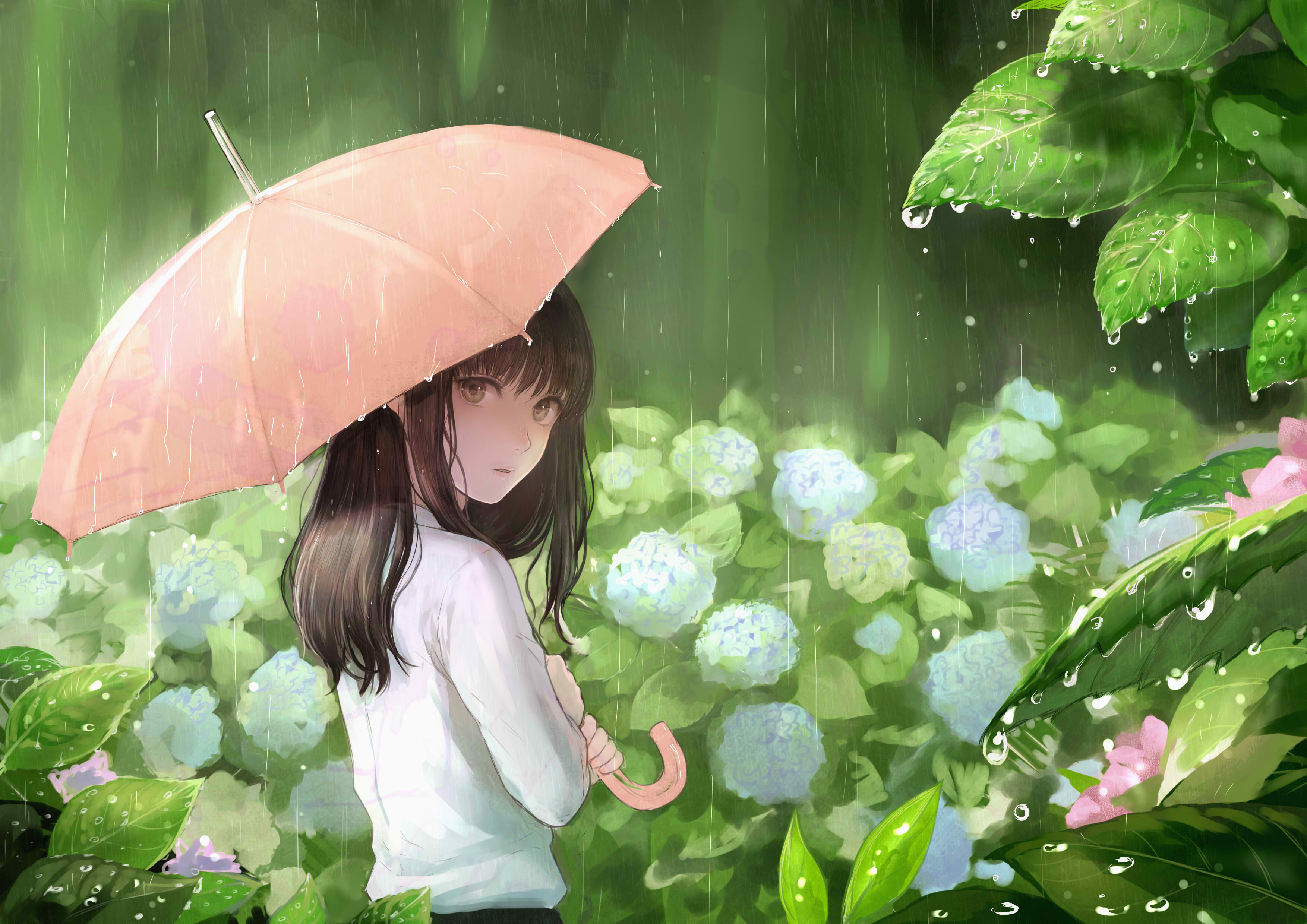 Fille Manga Sous La Pluie